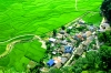 Vẻ đẹp ẩn giấu trên cao nguyên đá Đồng Văn