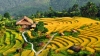 Ruộng bậc thang Việt Nam vào danh sách cảnh quan "đẹp đến khó tin"