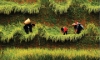 Triển lãm ảnh di sản tôn vinh vẻ đẹp đất nước, con người Việt
